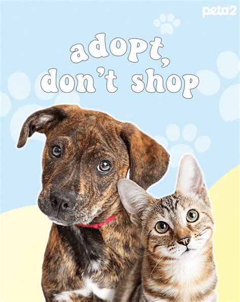 adopt .